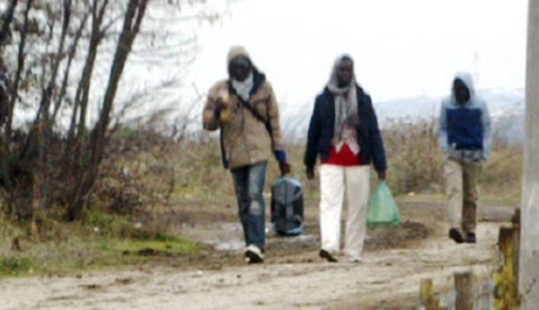  Мигранти проселе во двор од училиште во Струмица