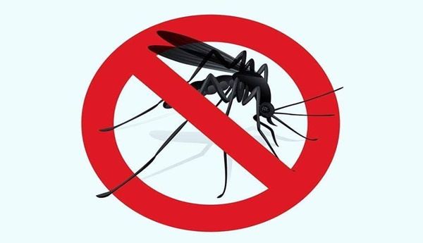  Утре ќе се прска против комарци во Големиот градски парк
