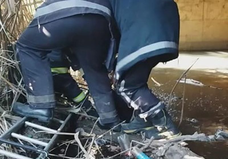  Пожарникарите извлекоа жена од канал кај Рекиџиски мост