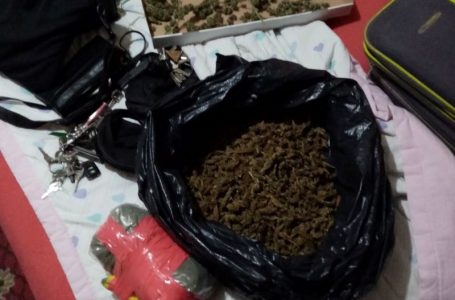 Полициски билтен:пронајдена марихуана кај четири лица во струмичко