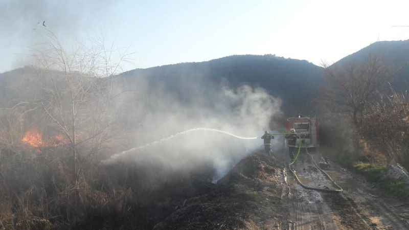  Пожарникарите гаснеа сува трева и трска во Софилар