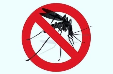 На 5,6 и 7 јуни прскање против комарци во Југоистокот