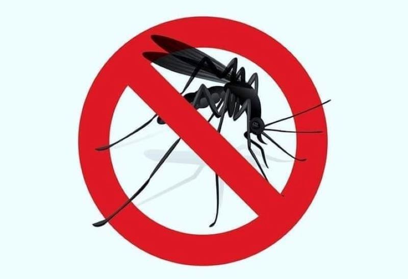  Второ прскање против комарци во Југоистокот од 7 до 9 јули