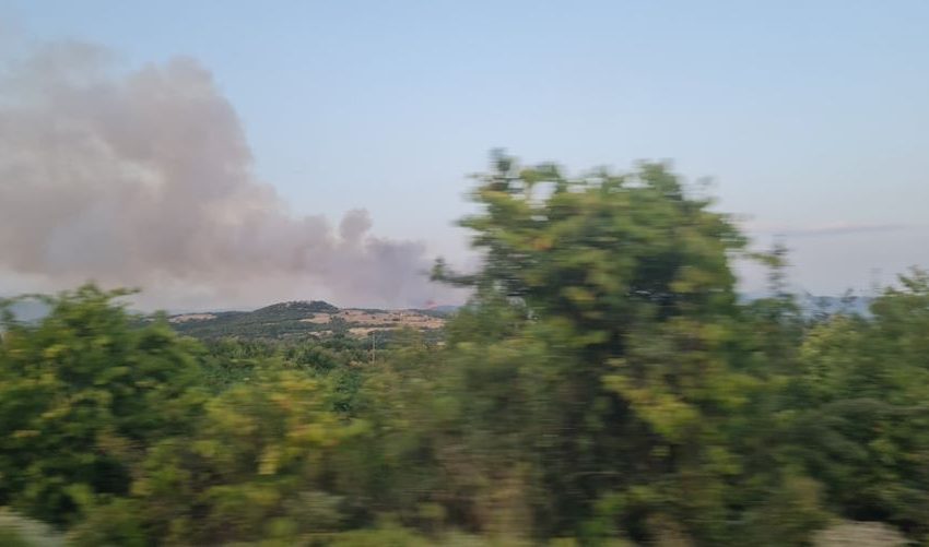  Голем шумски пожар над Марвинци и Балинци