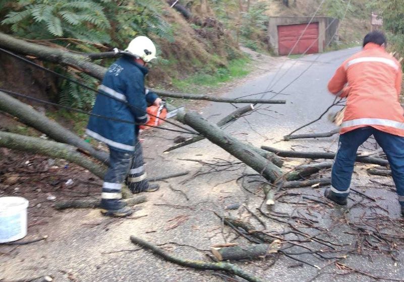  Струмичките пожарникари отстранија паднато дрво од патот кон Ловен дом