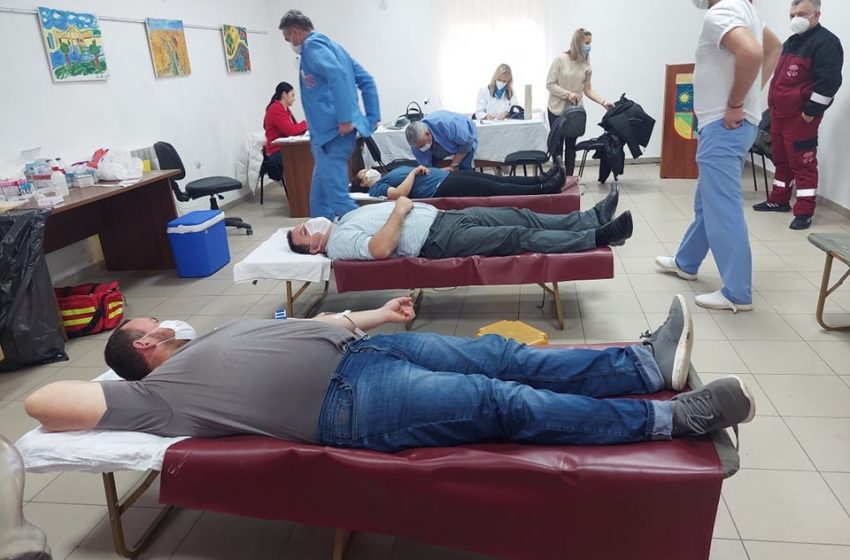  Крводарителска акција во Општина Босилово