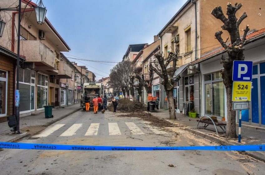  „Комуналец“ почна со кроење на дрворедите во Струмица