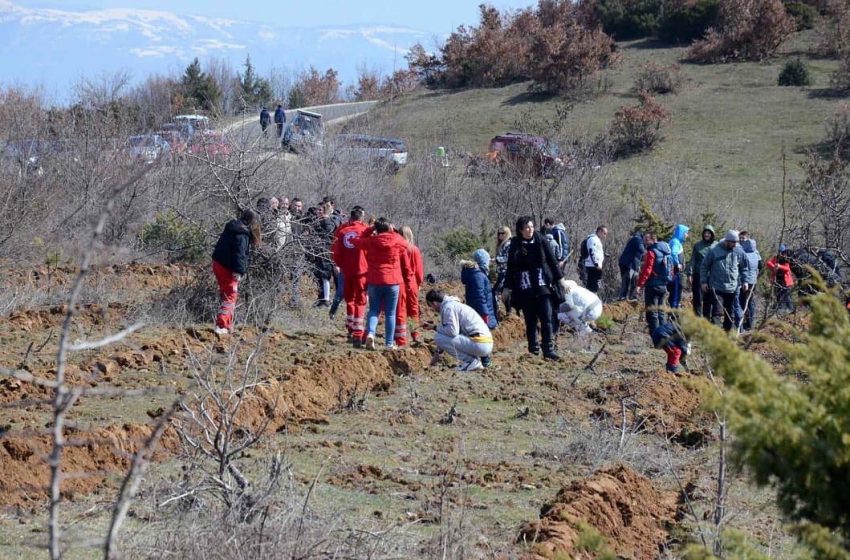  Акција за пошумување над Струмица-„Градот заслужува да дише“