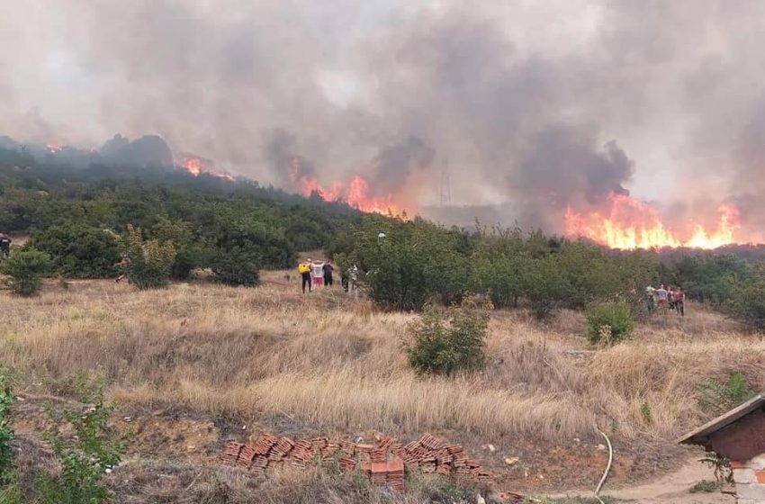  Пожарот кај Богданци се движи кон куќите во село Ѓавато