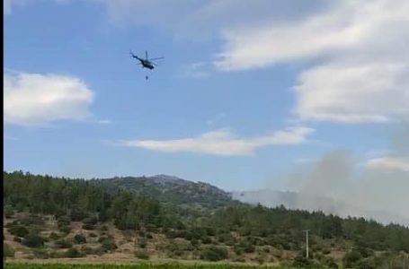 ЦУК: еден полициски хеликоптер и авионот „ер трактор“ го гаснат пожарот кај Дојран и Богданци