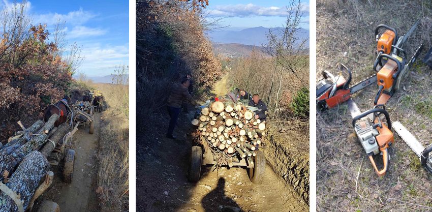  Приведени три лица од струмичко за пустошење на шума, кај нив пронајдени 25 кубици бесправно исечено огревно дрво