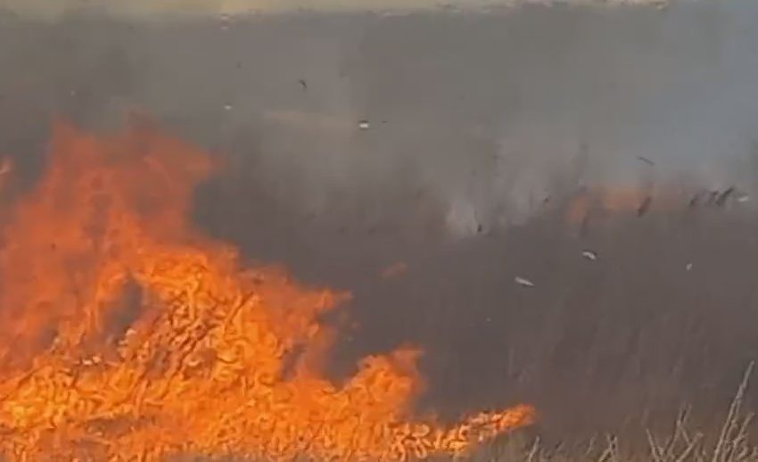  Костадинов: Пожарот кај Софилар е ставен под контрола