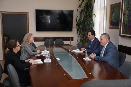 Романската амбасадорка во посета на Струмица
