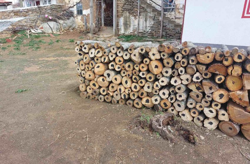  Во Радовишко пронајдена поголема количина огревни дрва без документација