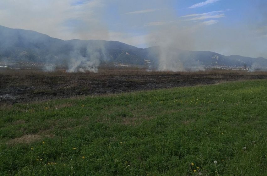  Струмичките пожарникари гасеа запалена сува трева кај Муртино