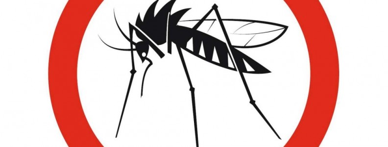  Второ прскање против комарци во општина Василево