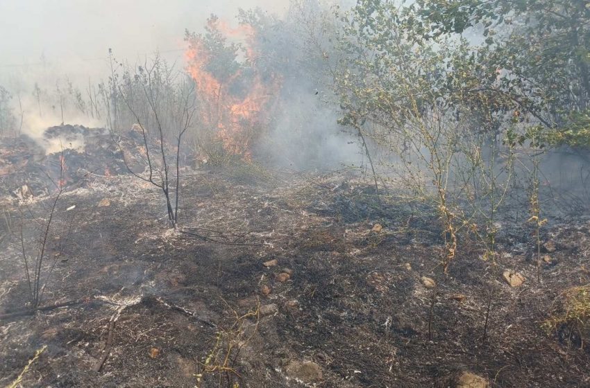  Пожарникарите гаснеа запалена депонија и нискостеблеста шума кај Колешино