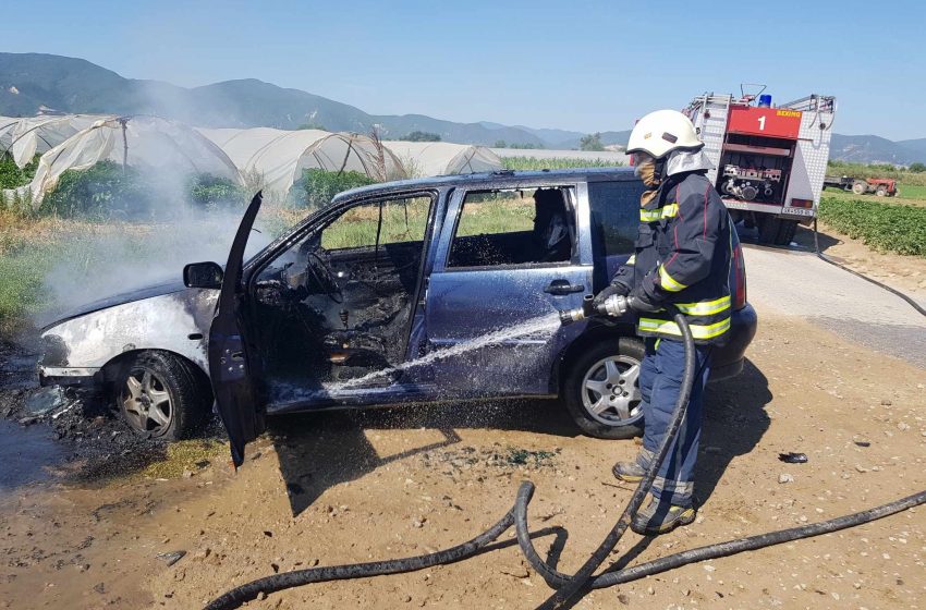  Изгоре автомобил на патот меѓу Муртино и Сачево