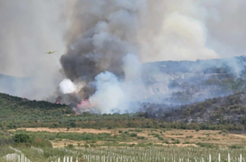  Голем пожар на отворено на границата со Грција, меѓу Богданци и Дојран