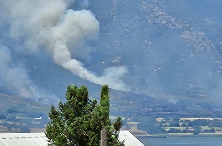  Голем пожар избувна кај селото Николиќ, во Дојран