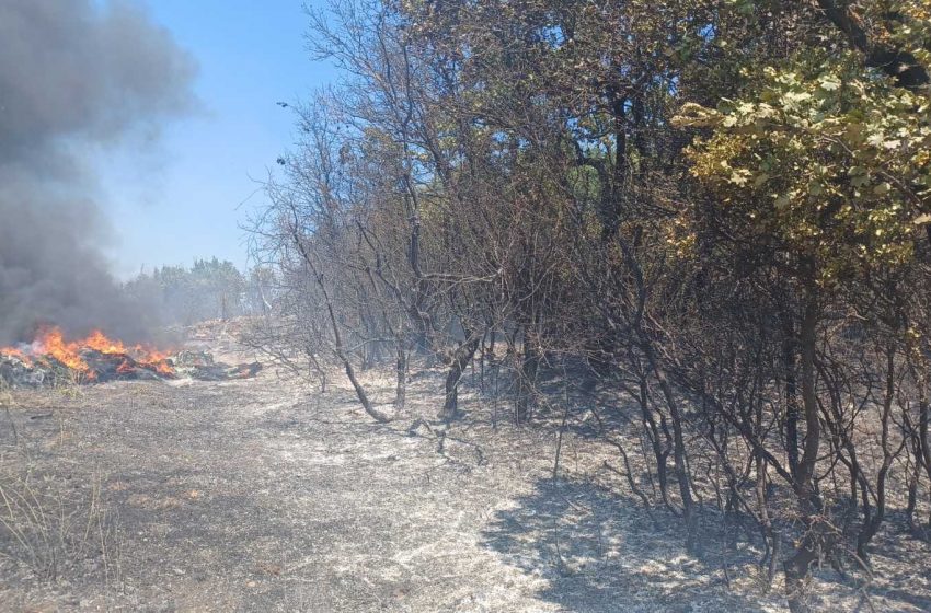  Голем пожар избувна кај Костурино