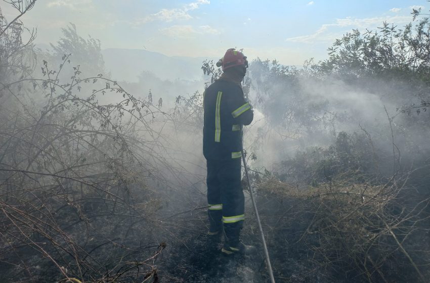  Пожарникарите од Струмица и Валандово гаснеле пет пожари на отворено