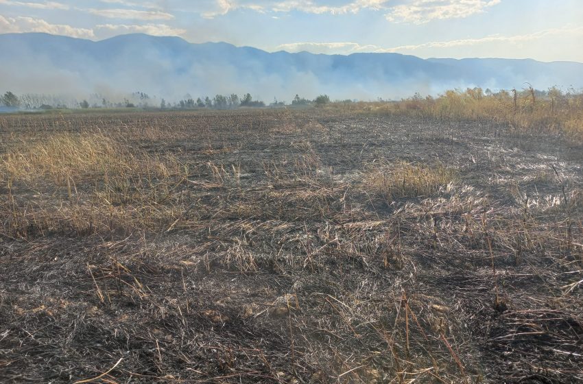  Голем пожар кај селата Зубово, Колешино и Сушица