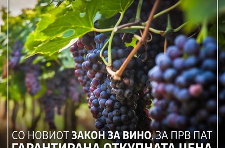 Собранието го донесе новиот закон за вино – Лозарите добиваат гарантирана откупна цена на винското грозје