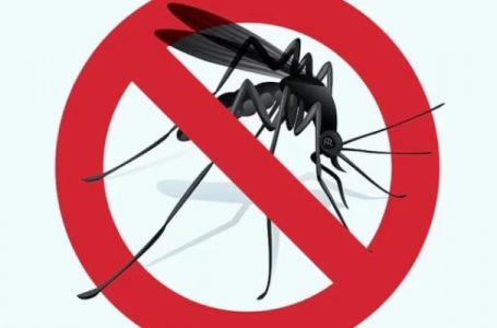 В понеделник ќе се прска против комарци во 8 општини од Југоистокот