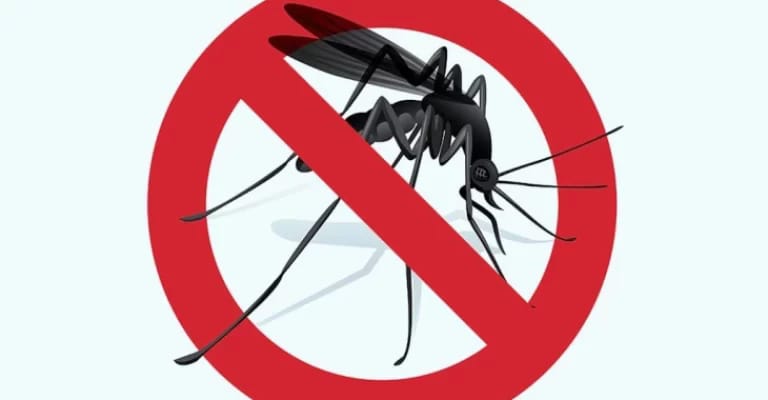  В понеделник ќе се прска против комарци во 8 општини од Југоистокот