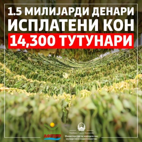  МЗШВ: Исплатени 1,5 милијарди денари кон 14.300 тутунари