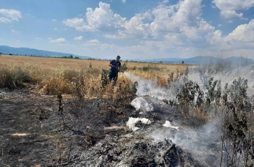  Пожарникарите изгасна запалена дива депонија која се закануваше да опожари нива со жито