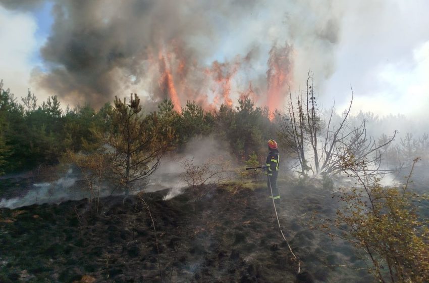  Во Југоистокот големи пожари на Огражден, над Радовиш и во Гевгелиско