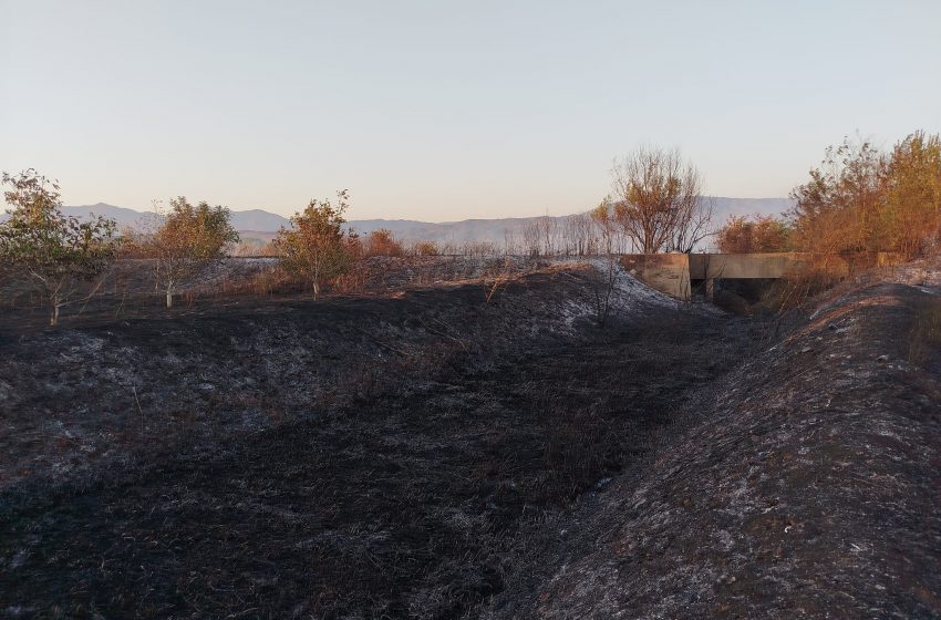  Попладнево голем пожар во близина на индустриската зона на Василево