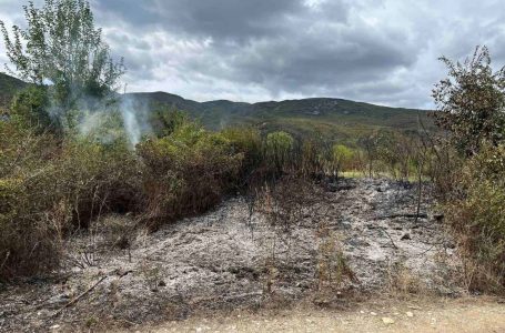 Струмичките пожарникари за 3 дена изгаснаа 4 пожари на отворено