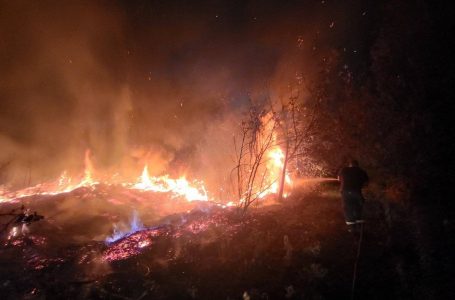 Струмичките пожарникари вчера гаснеа 4 пожари на отворено
