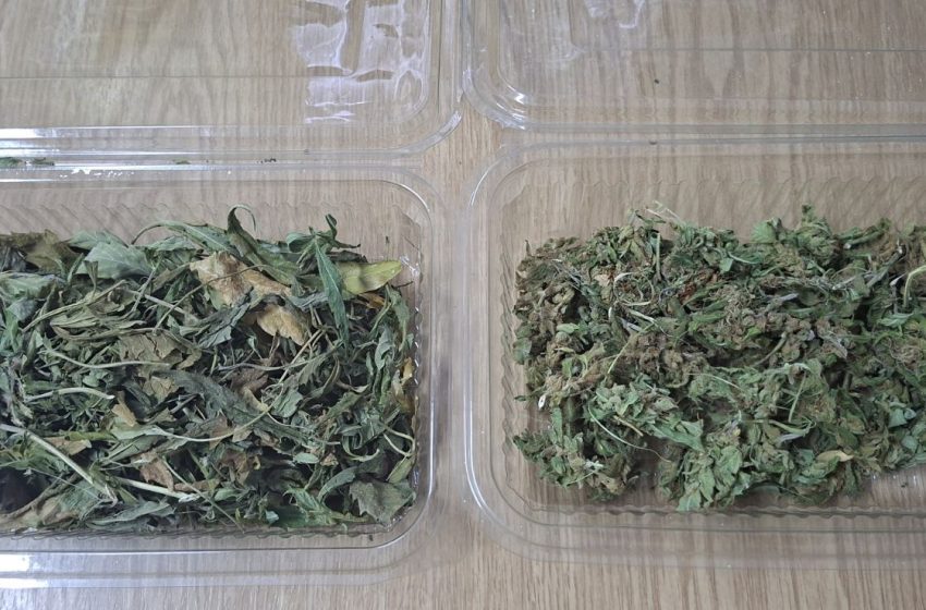 Претрес во Струмица, пронајдена дрога, лишено од слобода едно лице