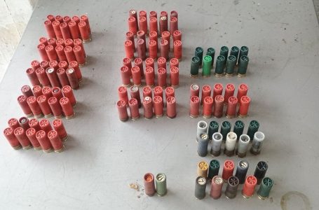 Кај тројца грчки државјани на Стар Дојран пронајдени се околу 200 патрони ловечка муниција