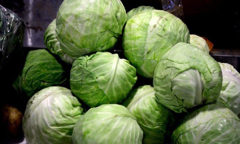 СДСМ Струмица: Трипуновски глув за маките на струмичките земјоделци, зелката се фрла, Владата молчи