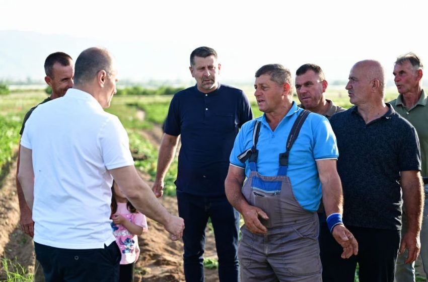 Филипче од Иловица: Земјоделците трпат огромни загуби, откупните цени паднаа за 30 отсто