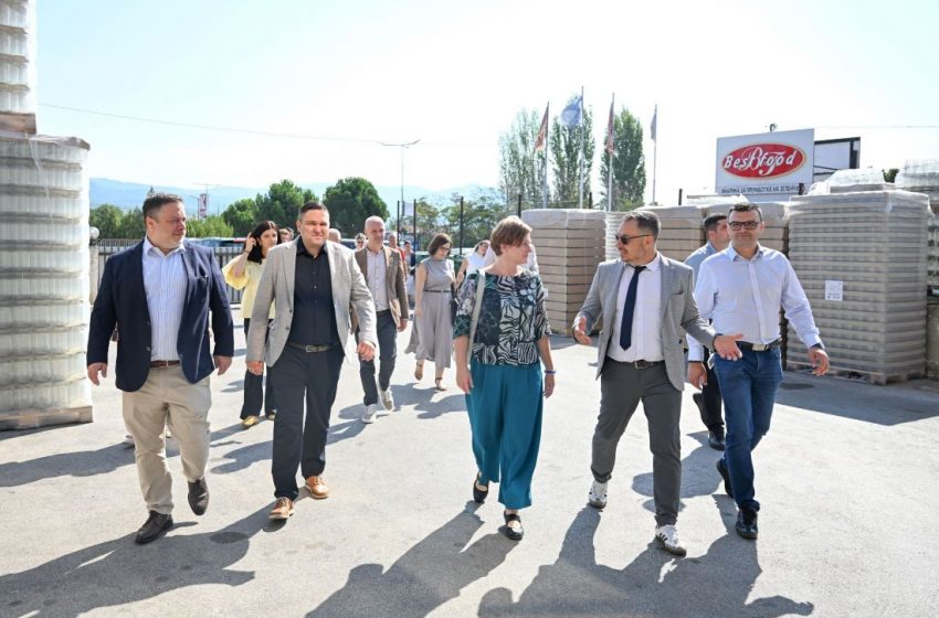 Партнерство со Lidl: Катализатор за стандардизација и раст на македонските производители